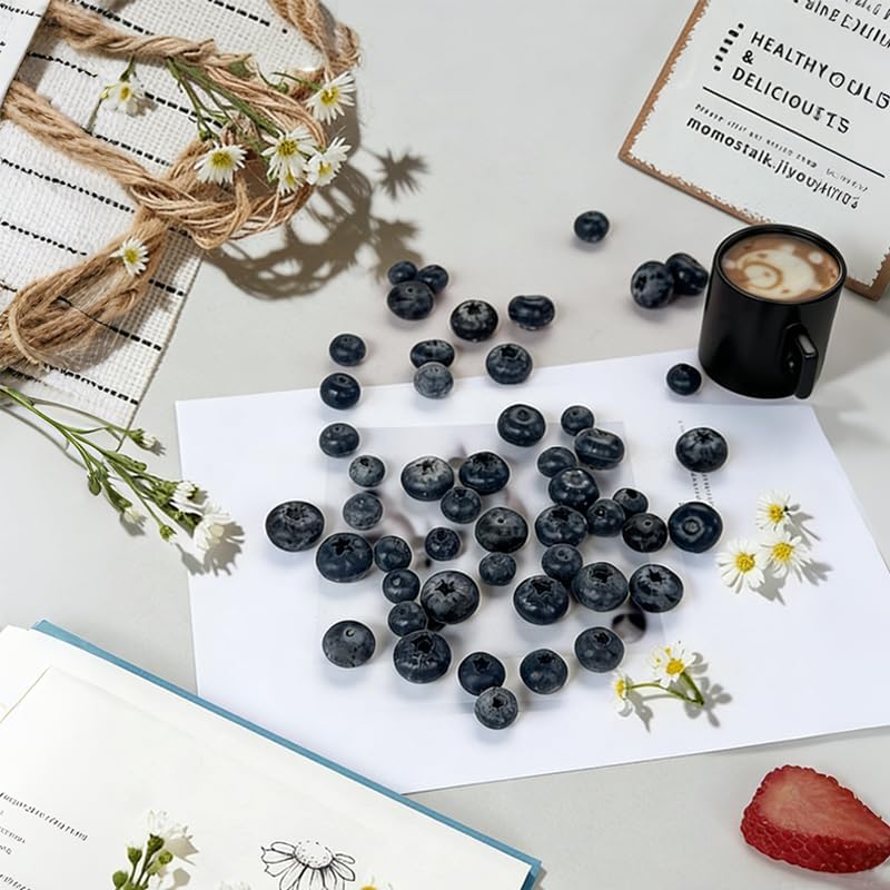 บลูเบอร์รี่ปลอม, ผลไม้จำลองเสม - Photography Of Food บทวิจารณ์และราคา
